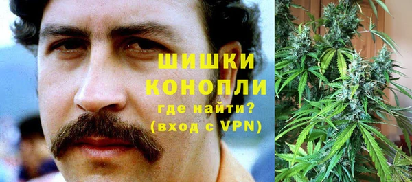 МДПВ Медногорск