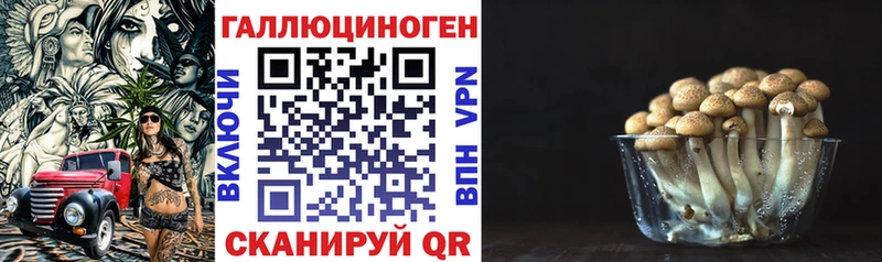Купить закладки  Островной  Галлюциногенные грибы GOLDEN TEACHER 