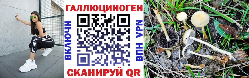 Псилоцибиновые грибы Cubensis Островной